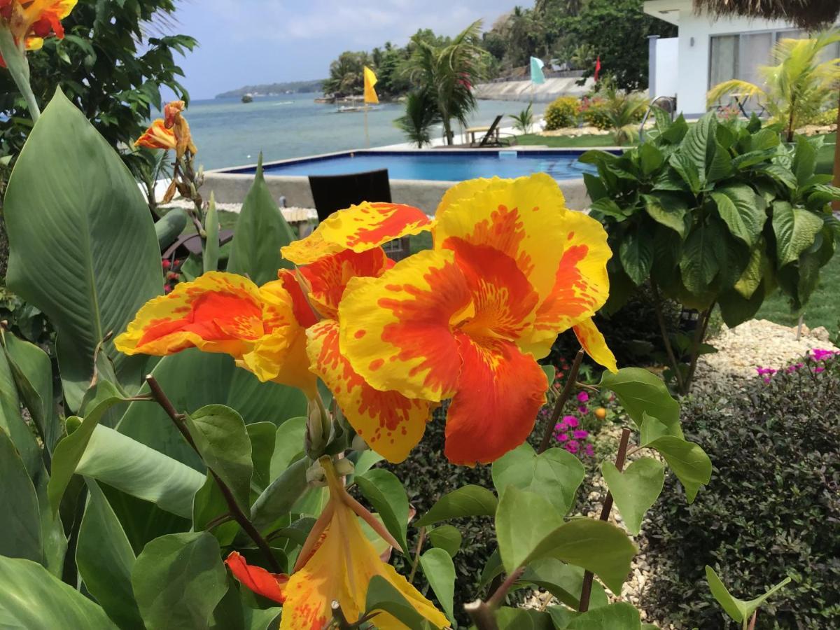 Bamboobeachvilla2 Ac New Oceanfront Pool Sunsetview Garden Kitchen Satellite Starlink Wi-Fi Dimiao Bagian luar foto